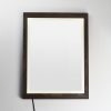 ET2 SAWYER E42052-WN LED Mirror - Walnut - Image 2